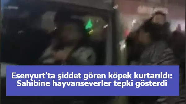 Esenyurt'ta şiddet gören köpek kurtarıldı! Gözaltına alınan sahibine hayvanseverler tepki gösterdi