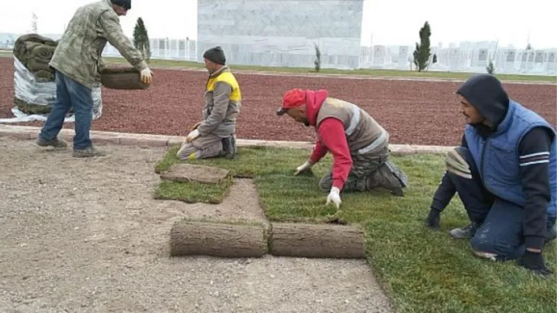 Şehit Öğretmenler Anıtı Yeşeriyor