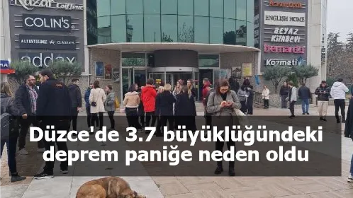 Düzce'de 3.7 büyüklüğündeki deprem paniğe neden oldu