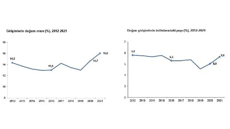 TÜİK: Girişimlerin 2021 yılında doğum oranı %16,0 oldu