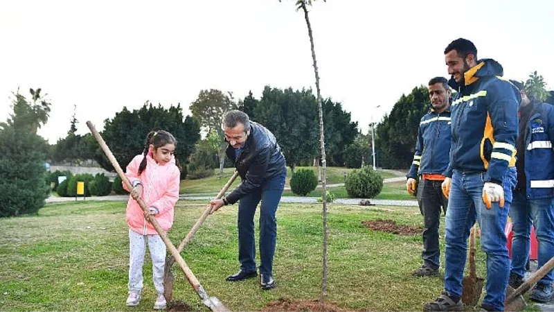 Çukurova'da turunç seferberliği