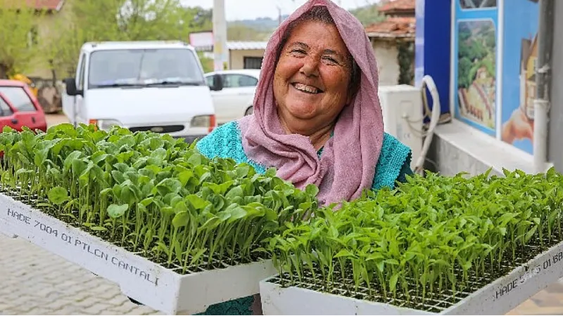 Buca'da Belediye-Kooperatif işbirliği, tarımı canlandırdı