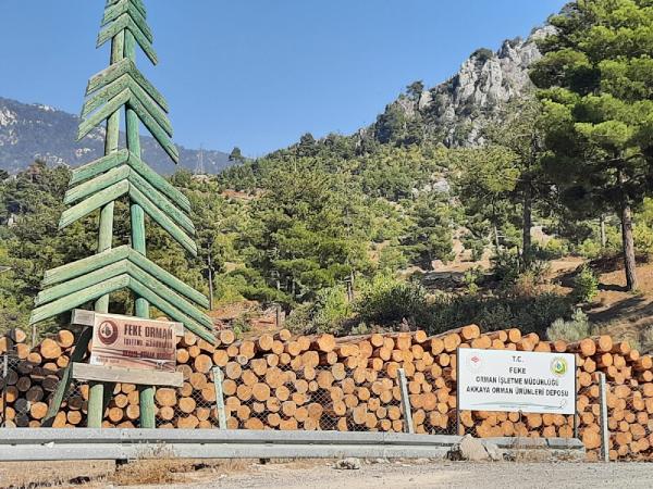 Üzerine tomruk devrilen orman işçisi yaşamını yitirdi