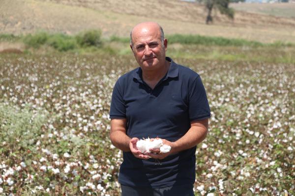 ABD ve Çin’deki pamuk krizi Adana’ya yaradı; ekim alanları yüzde 30 arttı