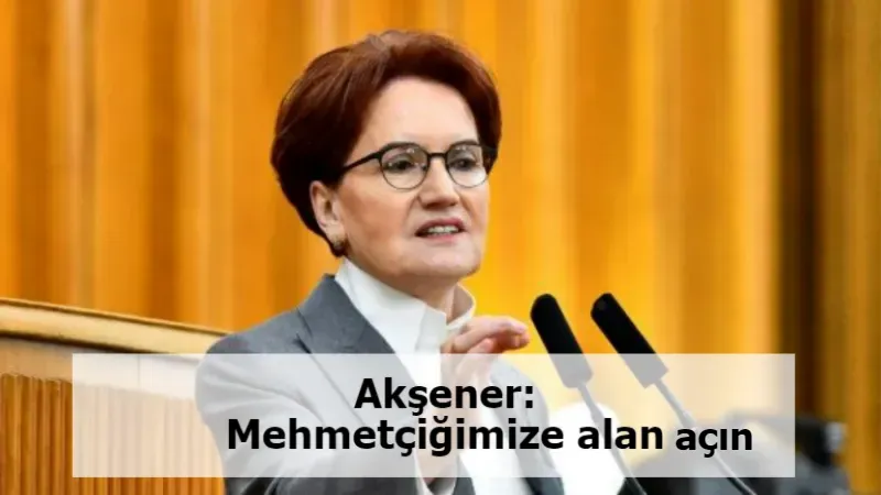 Akşener: Mehmetçiğimize alan açın