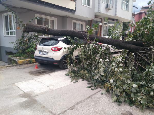 Ağaç, rüzgarda otomobilin üzerine devrildi