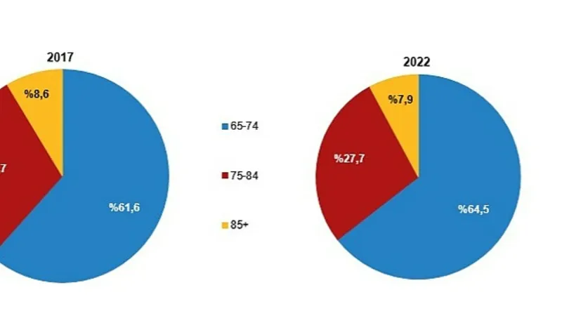 TÜİK: Yaşlı nüfus 8 milyon 451 bin 669 kişi oldu