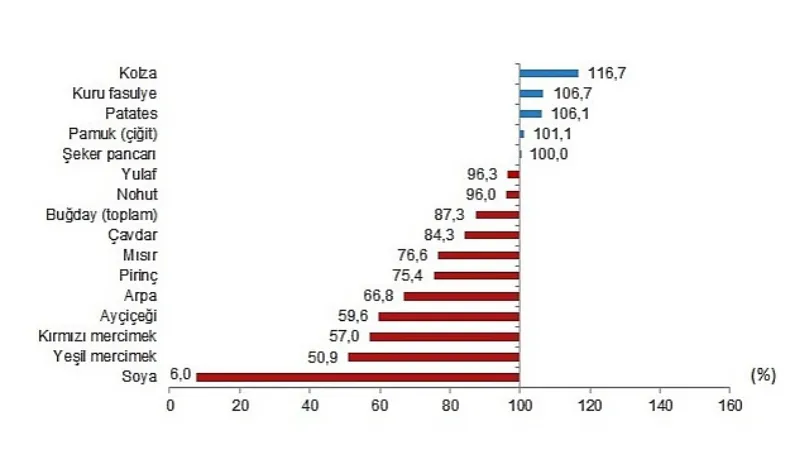 TÜİK: Bitkisel ürünlerde en yüksek yeterlilik derecesi %560,9 ile fındıkta gerçekleşti