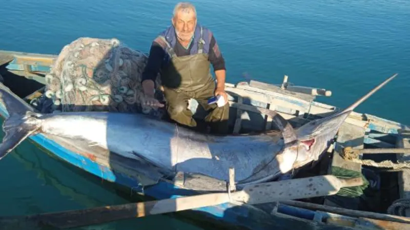 Adana'da balıkçılar, 274 kiloluk 'Blue Marlin' yakaladı