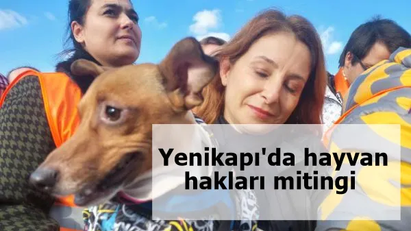 Yenikapı'da hayvan hakları mitingi 