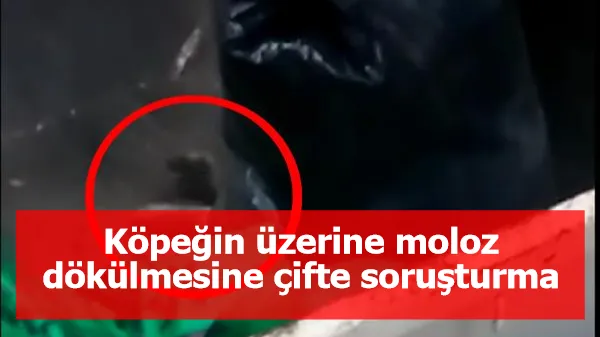 Köpeğin üzerine moloz dökülmesine çifte soruşturma