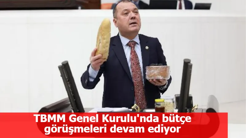 TBMM Genel Kurulu'nda bütçe görüşmeleri devam ediyor