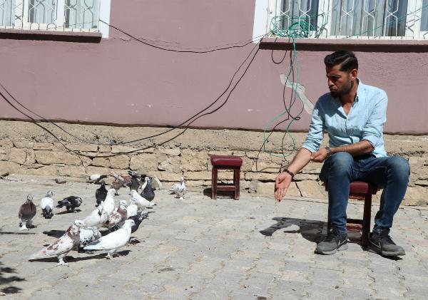 Havada 9 saat kalabilen güvercinler, birincilik getirdi