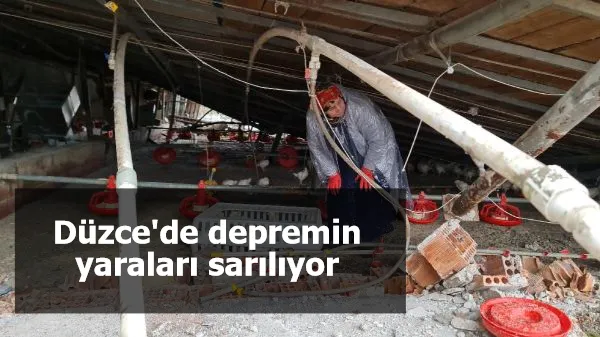 Düzce'de depremin yaraları sarılıyor