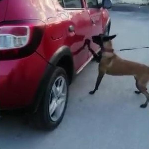 Otomobilde 3 kilo kokain ele geçirildi, sürücü ile eşi tutuklandı