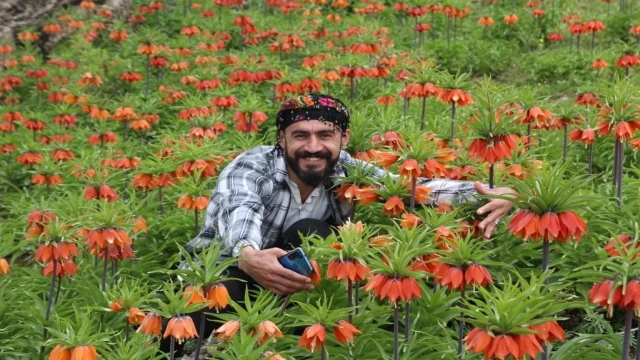 ‘Ağlayan Gelinler’den görsel şölen