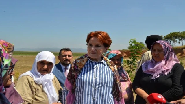 Akşener: Marmara Gölü’nün kurtarılması için girişimlerde bulunacağız