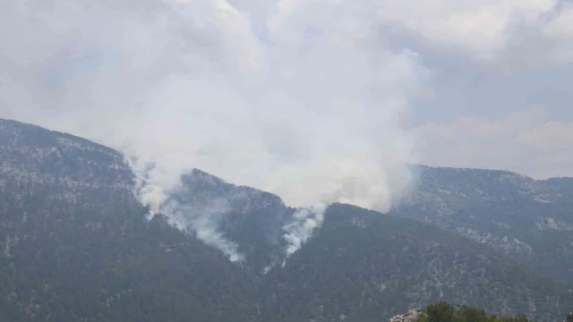 Alanya’da orman yangını