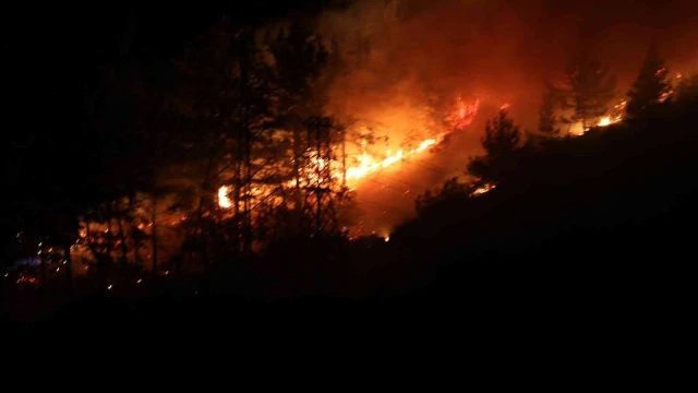 Alanya’da orman yangınında 3 dekar alan zarar gördü