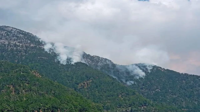 Alanya’daki orman yangını kontrol altında