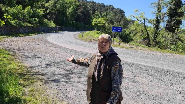 Alaplı’da vatandaşlar caddenin aydınlatılmasını talep ediyor