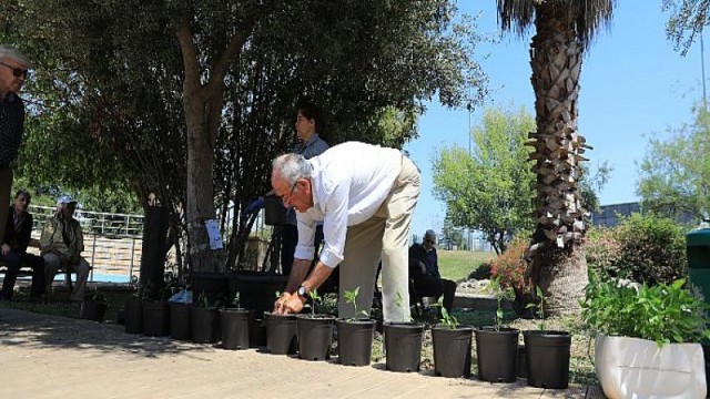 Alzheimer yakınları biber ve fesleğen dikti