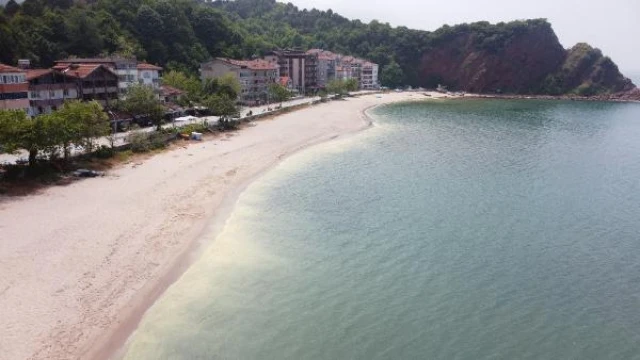 Amasra’da deniz kirliliğine inceleme