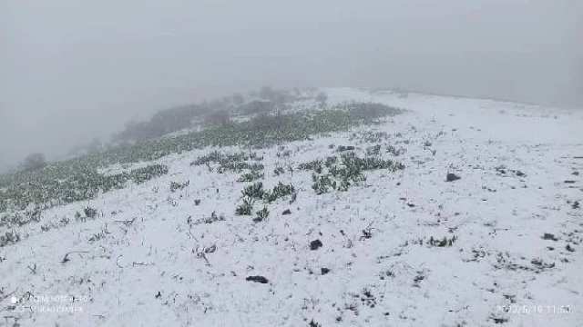 Amasya’nın yüksekleri karla beyaza büründü (2)