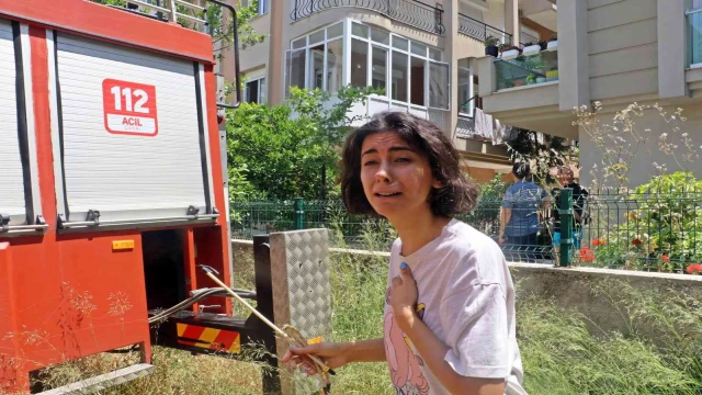 Antalya’da ikiz kız kardeşleri önce sevinç sonra korku gözyaşına boğan kedi kurtarma operasyonu