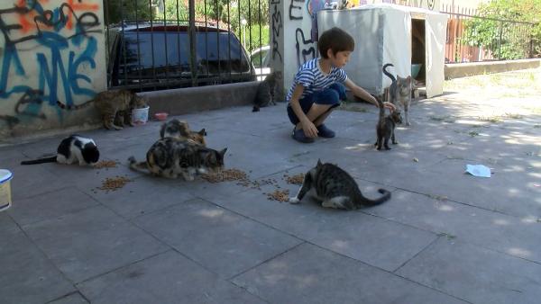 Maltepe'de sokakta kedi besledikleri için darbedildiler iddiası 