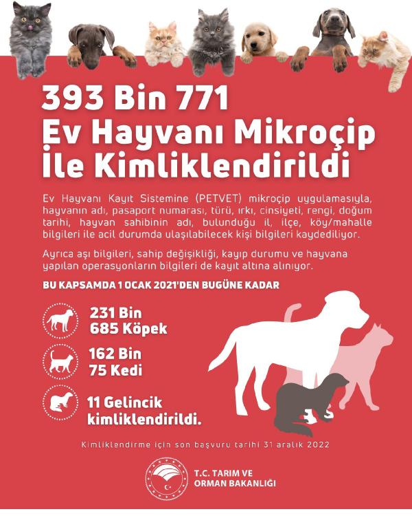 Tarım ve Orman Bakanlığı: Evcil hayvanları kayıt altına almak için son tarih 31 Aralık