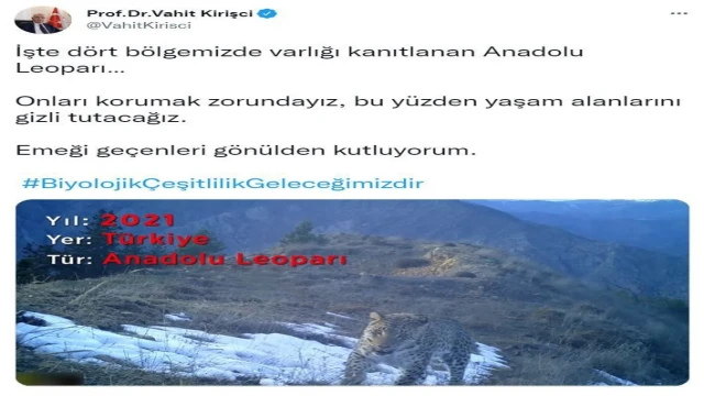 Bakan Kirişci’den ’Anadolu Leoparı’ paylaşımı