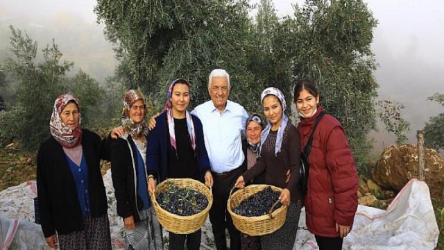 Başkan Gürün; “Zeytinliklerin Korunması İçin Hukuki Mücadele Başlatıyoruz”