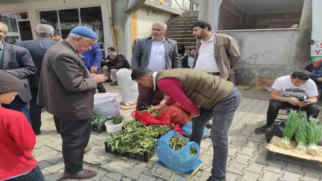 Batman’da yüksek dağlarda yetişen pancar, köylülerin geçim kaynağı oldu