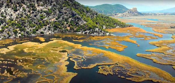 Dalyan Kanalı'nın labirent gibi sazlıkları havadan görüntülendi