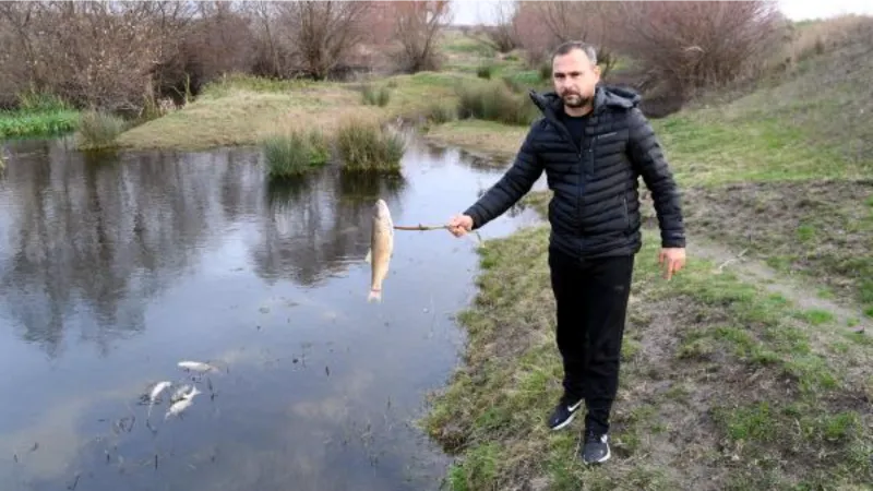 Balıkların öldüğü Yuvalı Deresi'nde kirlilik tespit edilemedi