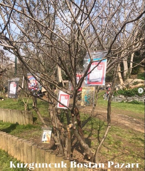 Lise öğrencisinden ‘Sokak Kitapları Kütüphanesi’ projesi