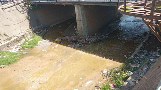 Belediye temizliyor, duyarsız vatandaşlar kirletiyor