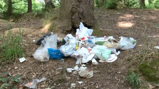 Belgrad Ormanı’nda piknikçilerden geriye çöpler kaldı