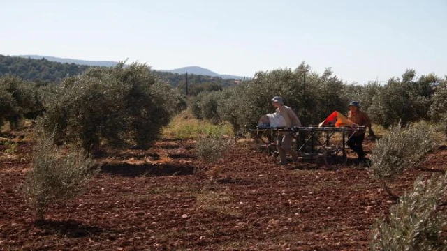 Bergama’da amfora üretim yeri keşfedildi