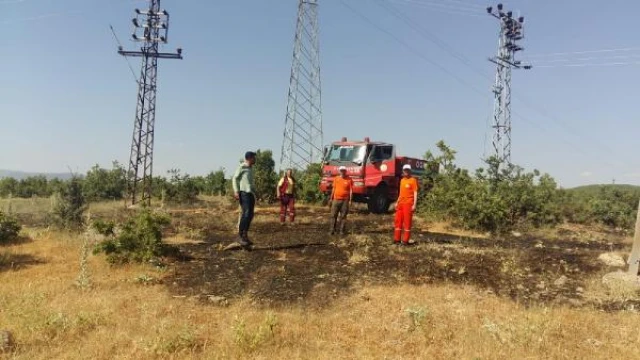 Bingöl’de ormanda çıkan yangın söndürüldü