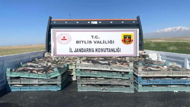 Bitlis’te kaçak avlanan 2 ton 350 kilo inci kefali ele geçirildi