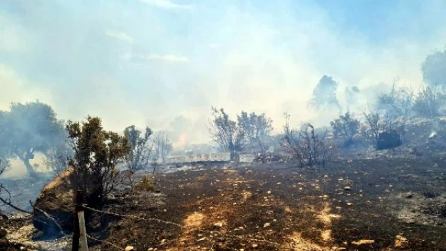 Bodrum’da orman yangını (1)