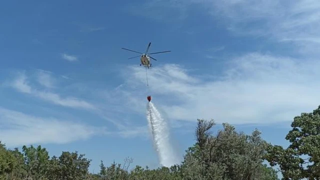 Bodrum’da orman yangını (2)