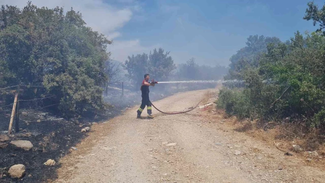 Bodrum’daki yangın 3 saatlik çalışmayla söndürüldü