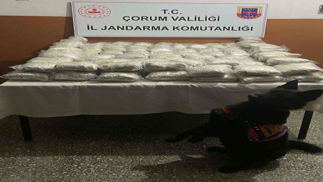 Boş yolcu otobüsünden 110 kilo eroin çıktı