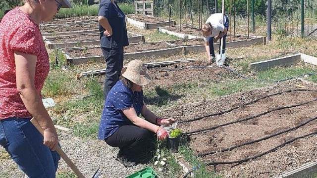 Bostanda Tohumlar Baş Gösterdi