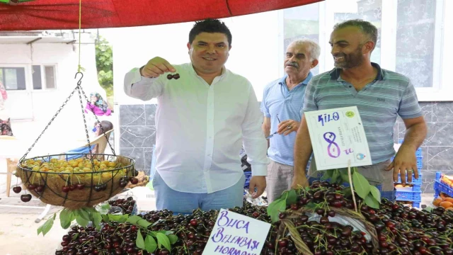 Buca’da Kiraz Festivali için geri sayım başladı