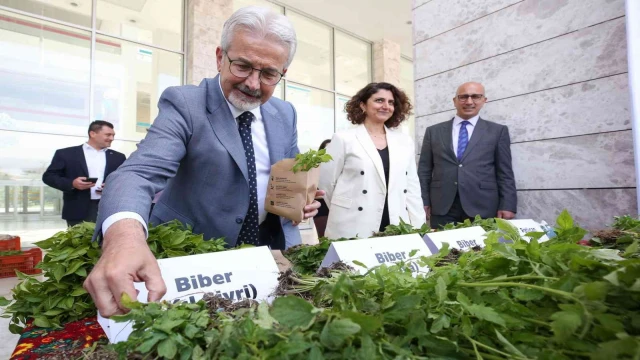 Bursa’da 400 bin fide toprakla buluşacak