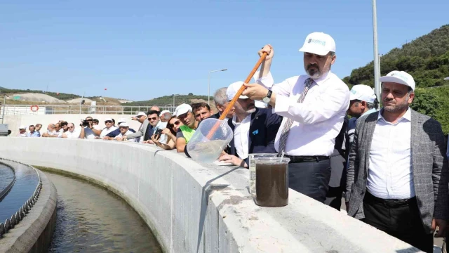 Bursa’da deniz suyu kalitesi artıyor